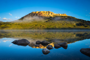 蜜蜂有哪些优秀品质(四字词语)