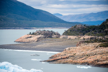 蜜蜂有哪些优秀品质(四字词语)