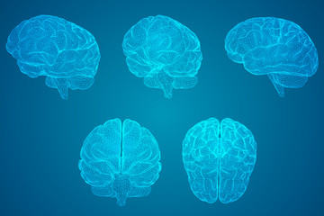 蜜蜂有哪些优秀品质(四字词语)