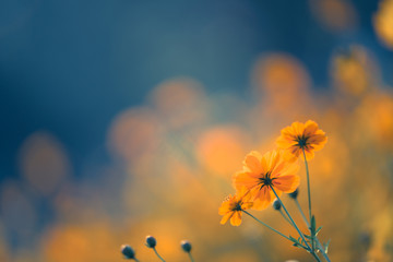 蛇鼠在一起谁吃亏