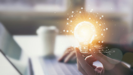 蜜蜂有哪些优秀品质(四字词语)