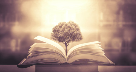 怎么取消中国银行个人短信息通知费呐