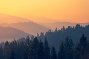 戌时出生的男孩命运 在戌时出生的男孩好吗