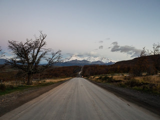 植物补光灯和普通灯的区别