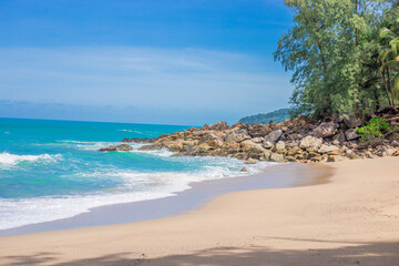 蜜蜂有哪些优秀品质(四字词语)