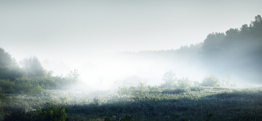 （哦）和（噢）有什么区别？