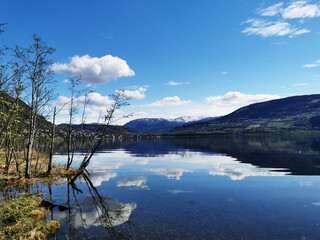 怎么取消中国银行个人短信息通知费呐
