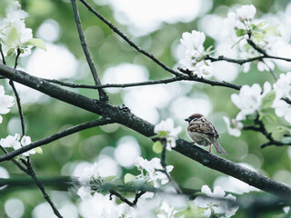 怎么取消中国银行个人短信息通知费呐
