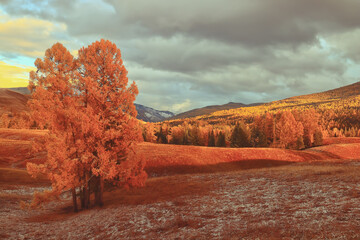 元宵节猜灯谜及答案