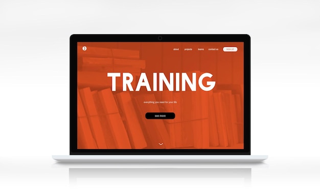 蜜蜂有哪些优秀品质(四字词语)