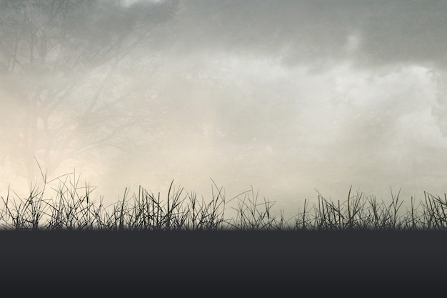 植物补光灯和普通灯的区别