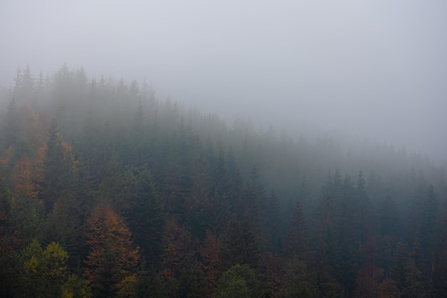 戌时出生的男孩命运 在戌时出生的男孩好吗