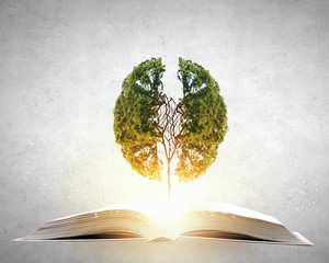 5.12国际护士节主题活动方案