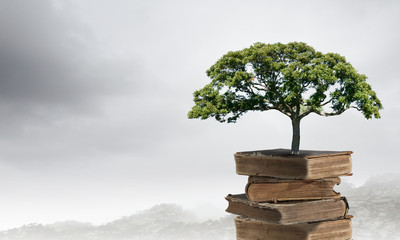 怎么取消中国银行个人短信息通知费呐