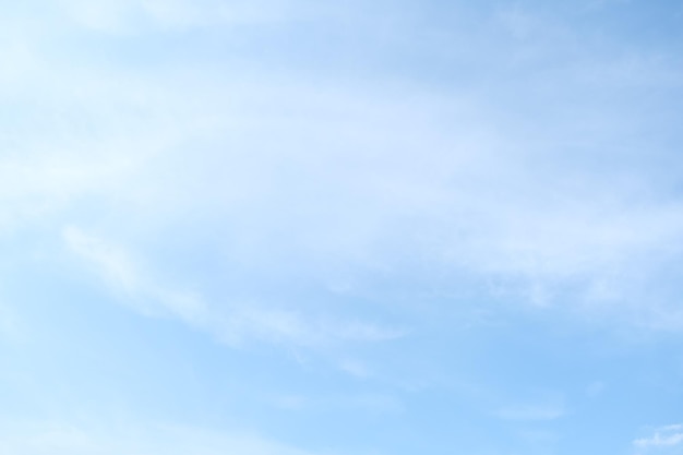 萝卜晒干后变黑什么原因