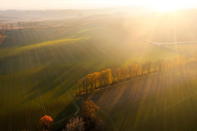 这道题怎么写？