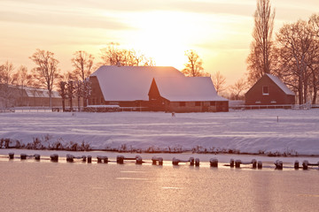 萝卜晒干后变黑什么原因