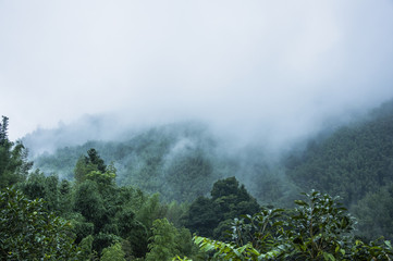（哦）和（噢）有什么区别？